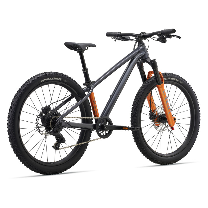 Giant STP 24